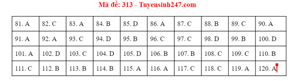 Giáo dục - Đáp án đề thi môn GDCD tốt nghiệp THPT 2020 chuẩn nhất mã đề 313 (Hình 5).