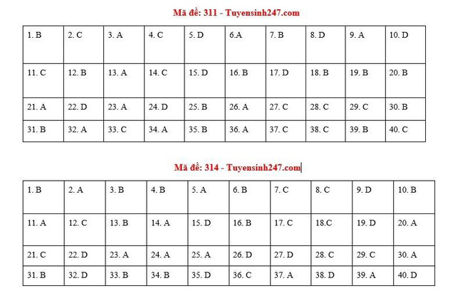 Giáo dục - Đáp án đề thi môn Lịch sử tốt nghiệp THPT 2020 chuẩn nhất mã đề 314