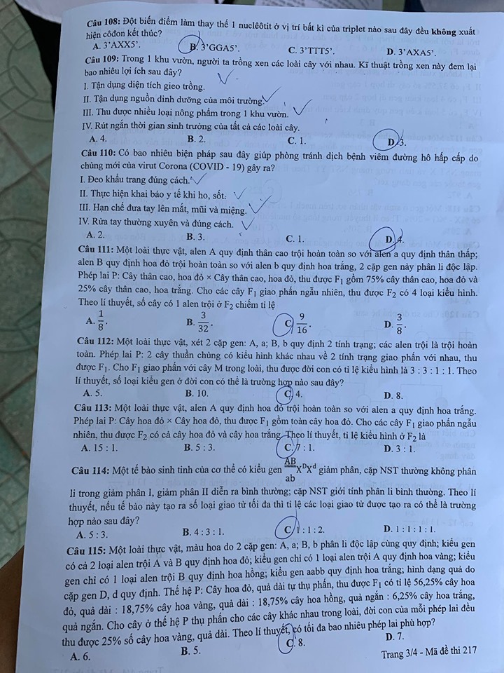 Giáo dục - Đáp án đề thi môn Sinh học tốt nghiệp THPT 2020 chuẩn nhất mã đề 217 (Hình 3).