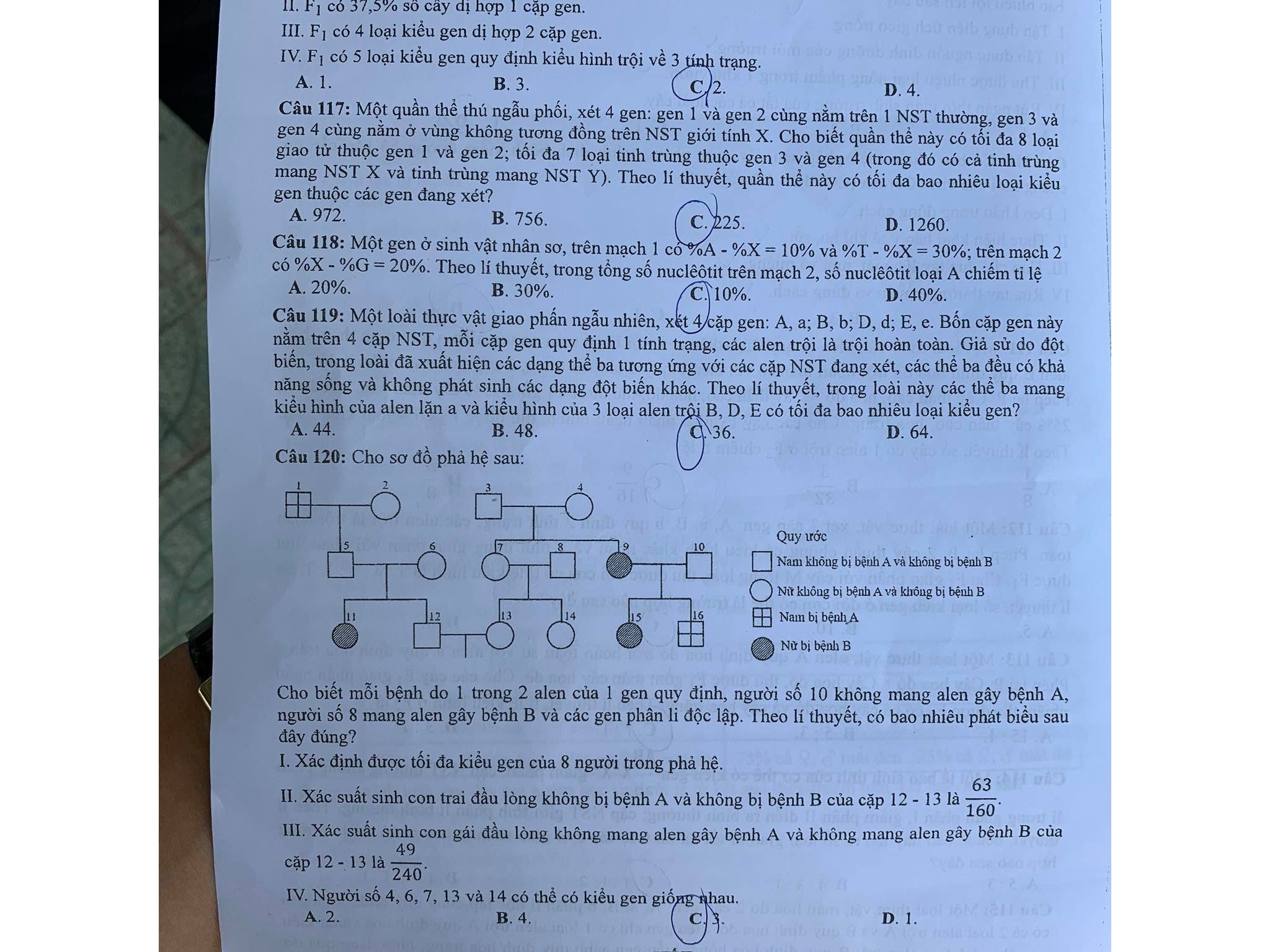 Giáo dục - Đáp án đề thi môn Sinh học tốt nghiệp THPT 2020 chuẩn nhất mã đề 217 (Hình 4).