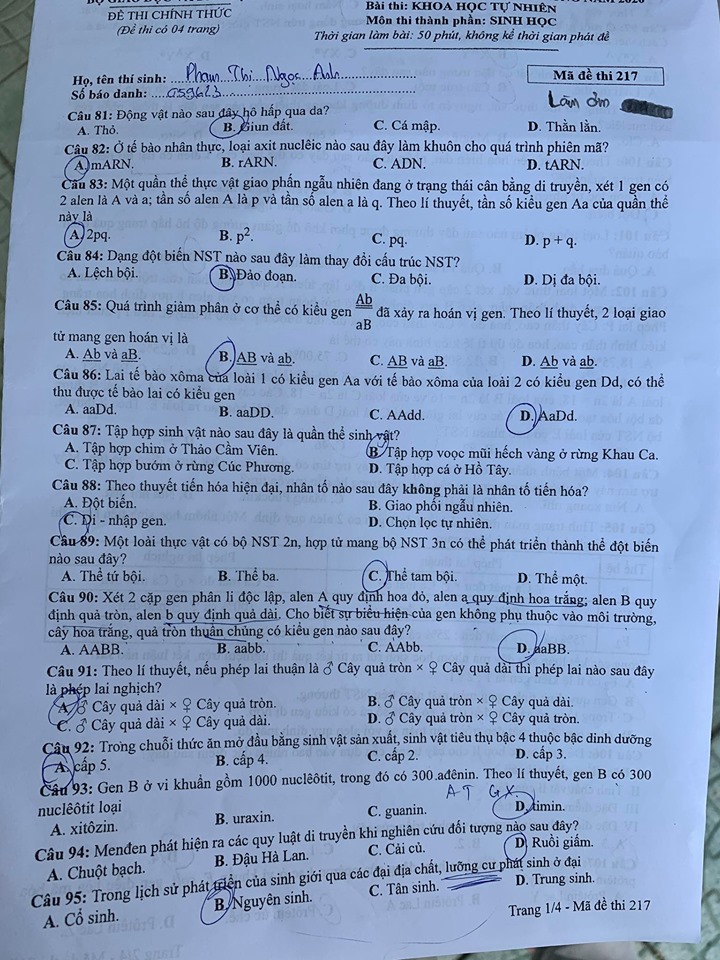 Giáo dục - Đáp án đề thi môn Sinh học tốt nghiệp THPT 2020 chuẩn nhất mã đề 217