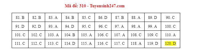 Giáo dục - Đáp án đề thi môn GDCD mã đề 310 kỳ thi THPT Quốc gia 2021 chuẩn nhất