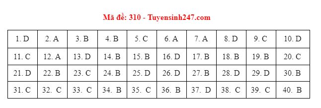 Xã hội - Đáp án đề thi môn Lịch sử thi THPT quốc gia 2021 mã đề 310