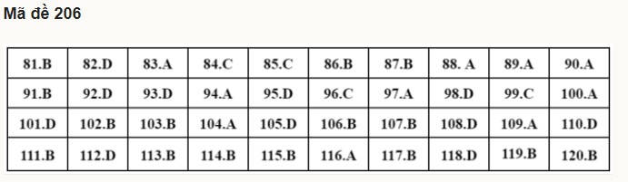 Giáo dục - Đáp án đề thi môn Sinh học kỳ thi tốt nghiệp THPT 2022 nhanh nhất mã đề 206
