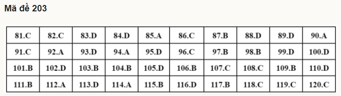 Giáo dục - Đáp án đề thi môn Sinh học kỳ thi tốt nghiệp THPT 2022 mã đề 203