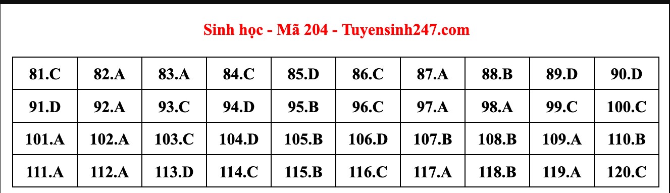 Giáo dục - Đáp án đề thi môn Sinh học kỳ thi tốt nghiệp THPT 2022 nhanh nhất mã đề 204