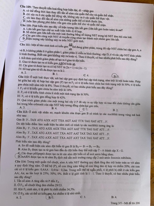 Giáo dục - Đáp án đề thi môn Sinh học kỳ thi tốt nghiệp THPT 2022 nhanh nhất mã đề 206 (Hình 3).