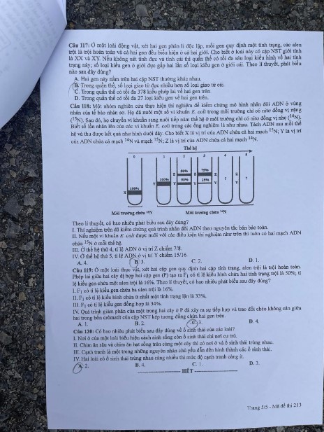 Giáo dục - Đáp án đề thi môn Sinh học kỳ thi tốt nghiệp THPT 2022 nhanh nhất mã đề 213 (Hình 4).