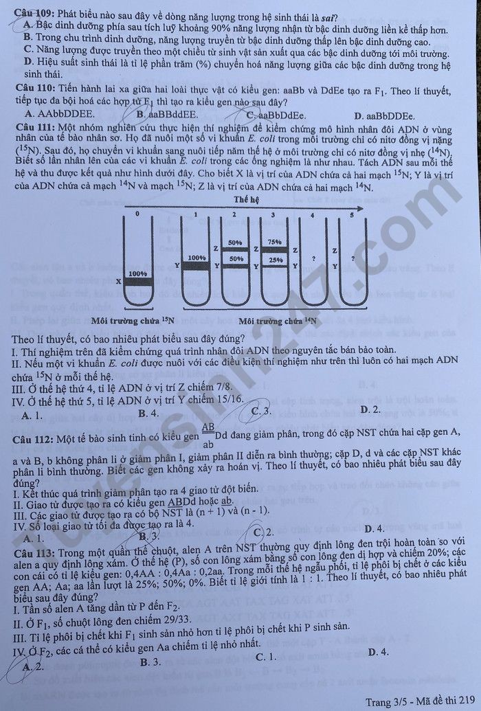 Giáo dục - Đáp án đề thi môn Sinh học kỳ thi tốt nghiệp THPT 2022 nhanh nhất mã đề 219 (Hình 3).