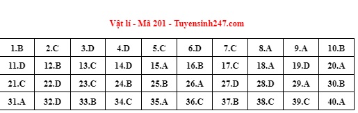 Giáo dục - Đáp án môn Vật lý tốt nghiệp THPT 2022 mã đề 201 cập nhật mới nhất