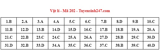 Giáo dục - Đáp án môn Vật lý thi tốt nghiệp THPT 2022 mã đề 202 cập nhật mới nhất