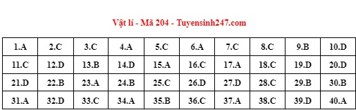 Giáo dục - Đáp án môn Vật lý thi tốt nghiệp THPT 2022 mã đề 204 cập nhật mới nhất