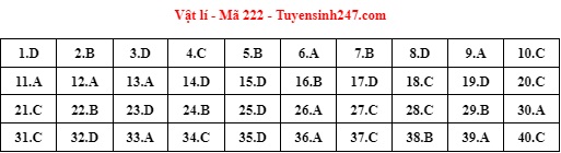 Giáo dục - Gợi ý đáp án đề thi môn Vật lý mã đề 222 thi tốt nghiệp THPT năm 2022