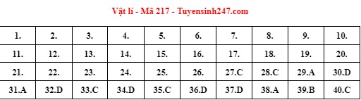 Giáo dục - Đáp án đề thi môn Vật lý mã đề 217 thi tốt nghiệp THPT năm 2022