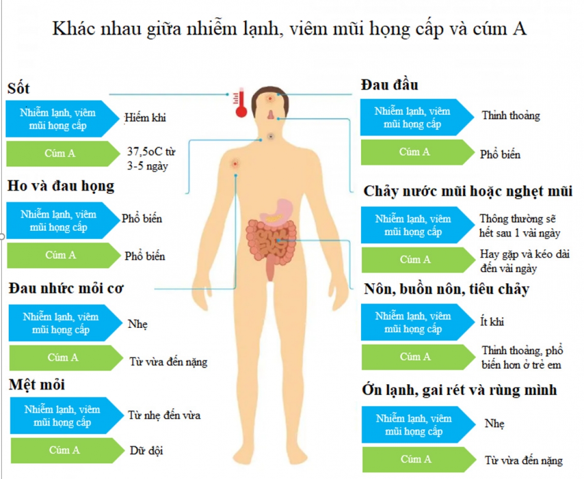 Đời sống - Chuyên gia chỉ cách phân biệt cúm A và viêm mũi họng cấp