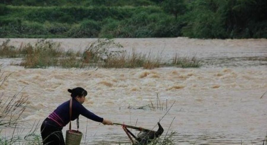 Đời sống - Nhặt được “viên gạch” lạ ở bờ sông, bà lão mất ngay 27 tỷ vì hành động này