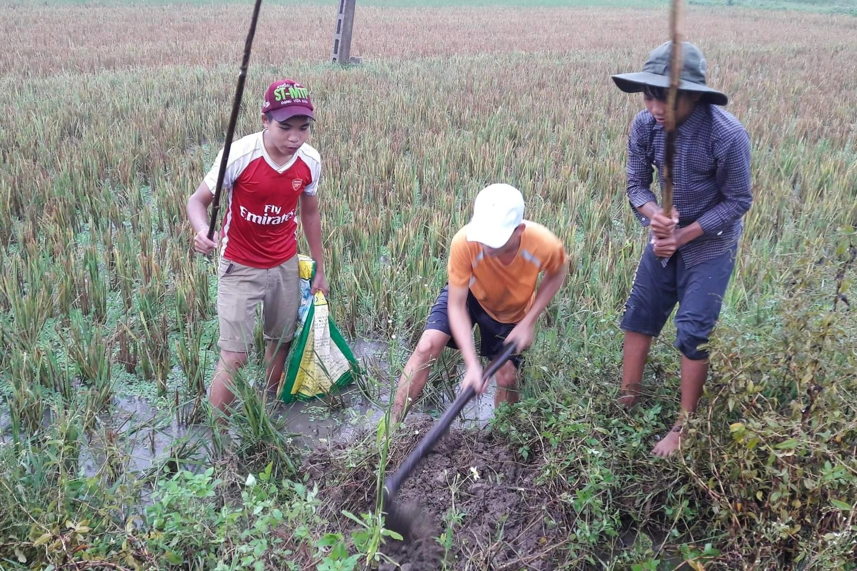 Cộng đồng mạng - Về xứ Nghệ thưởng thức món thịt “có một không hai” ăn một lần nhớ cả đời