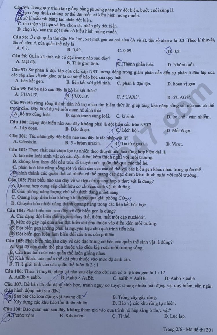 Giáo dục - Đáp án đề thi môn Sinh học kỳ thi tốt nghiệp THPT năm 2023 mã đề 201 (Hình 2).