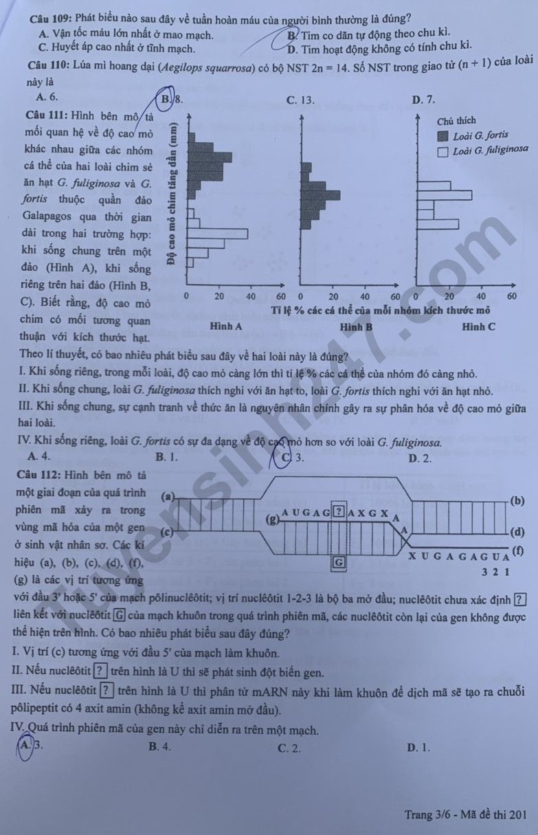 Giáo dục - Đáp án đề thi môn Sinh học kỳ thi tốt nghiệp THPT năm 2023 mã đề 201 (Hình 3).