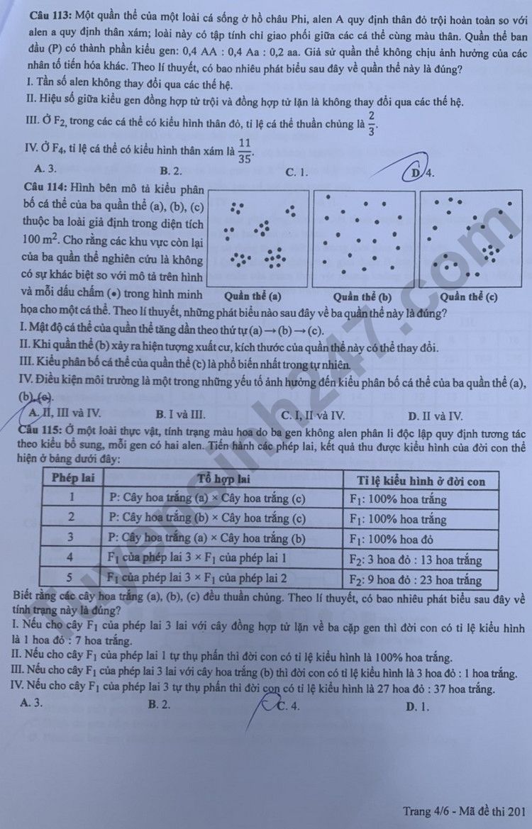 Giáo dục - Đáp án đề thi môn Sinh học kỳ thi tốt nghiệp THPT năm 2023 mã đề 201 (Hình 4).