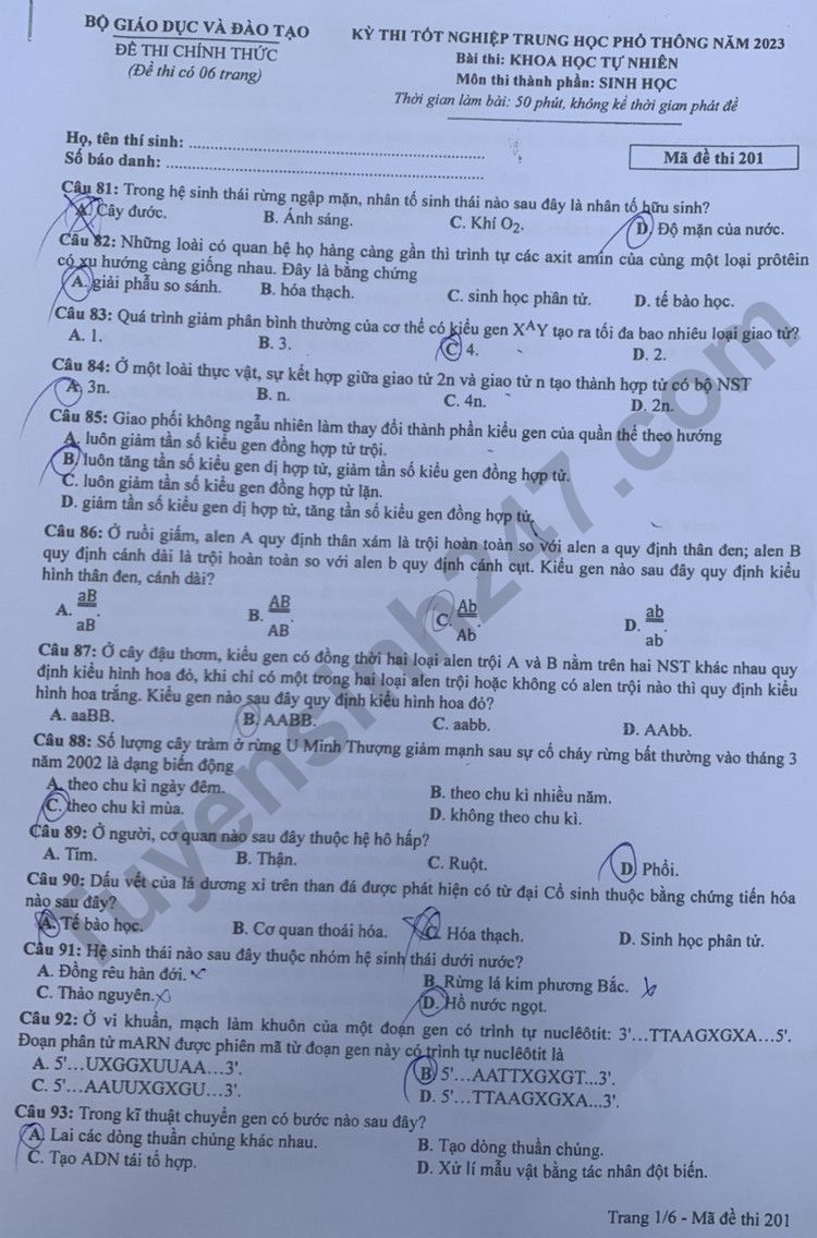 Giáo dục - Đáp án đề thi môn Sinh học kỳ thi tốt nghiệp THPT năm 2023 mã đề 201