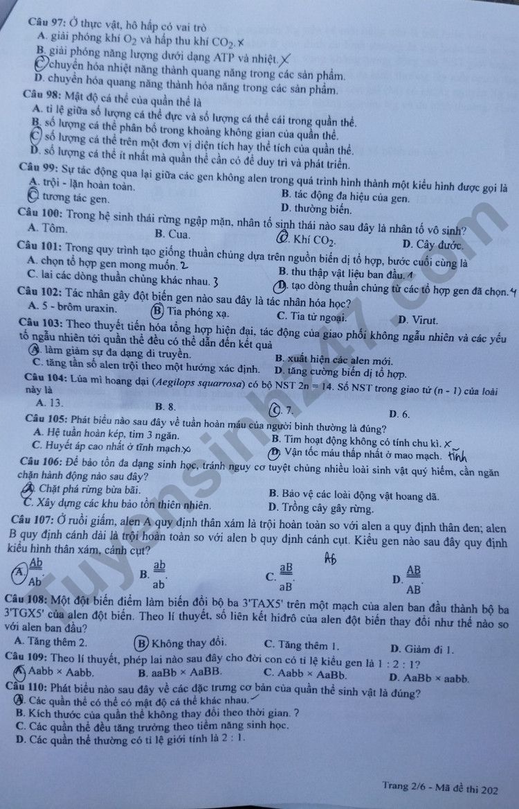 Giáo dục - Đáp án đề thi môn Sinh học kỳ thi tốt nghiệp THPT năm 2023 mã đề 202 (Hình 2).