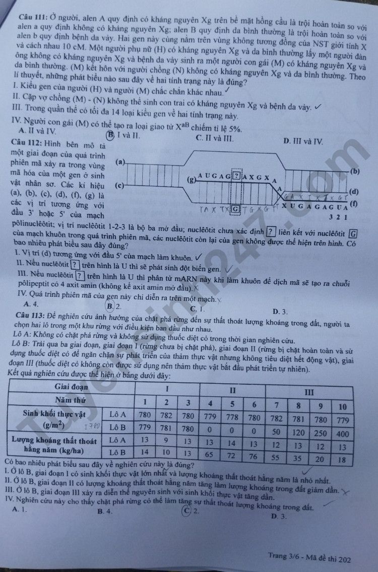 Giáo dục - Đáp án đề thi môn Sinh học kỳ thi tốt nghiệp THPT năm 2023 mã đề 202 (Hình 3).