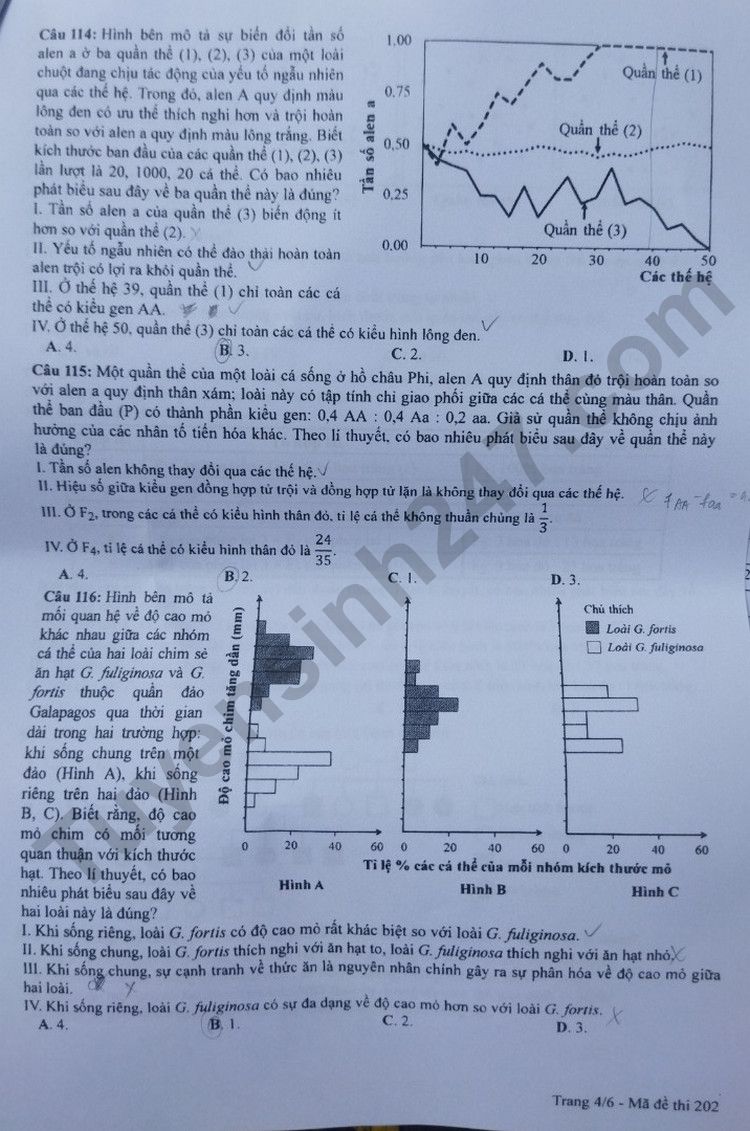 Giáo dục - Đáp án đề thi môn Sinh học kỳ thi tốt nghiệp THPT năm 2023 mã đề 202 (Hình 4).