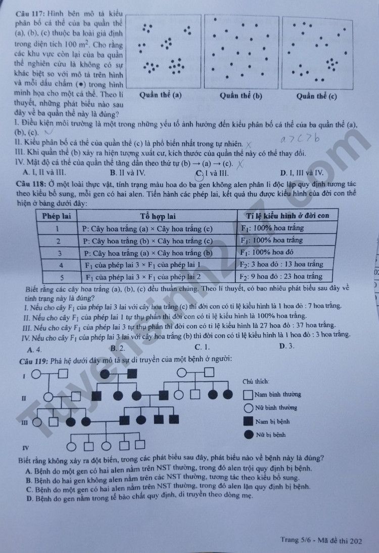 Giáo dục - Đáp án đề thi môn Sinh học kỳ thi tốt nghiệp THPT năm 2023 mã đề 202 (Hình 5).