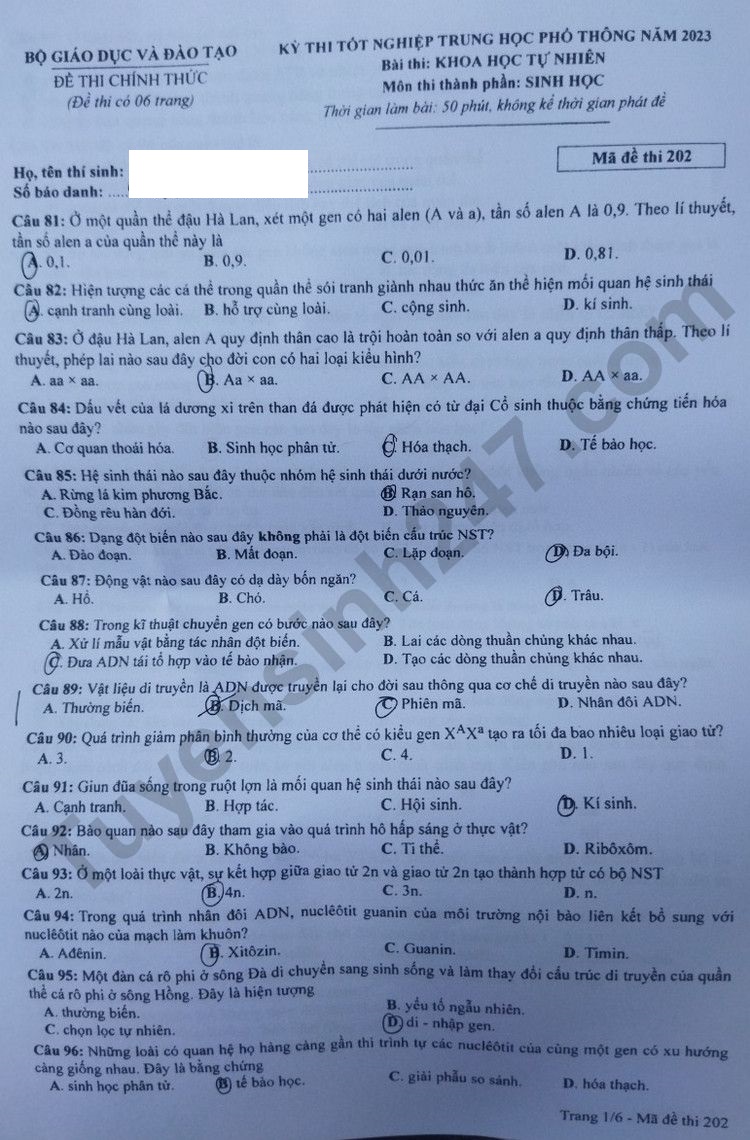 Giáo dục - Đáp án đề thi môn Sinh học kỳ thi tốt nghiệp THPT năm 2023 mã đề 202