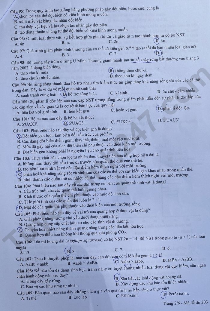 Giáo dục - Đáp án đề thi môn Sinh học kỳ thi tốt nghiệp THPT năm 2023 mã đề 203 (Hình 2).