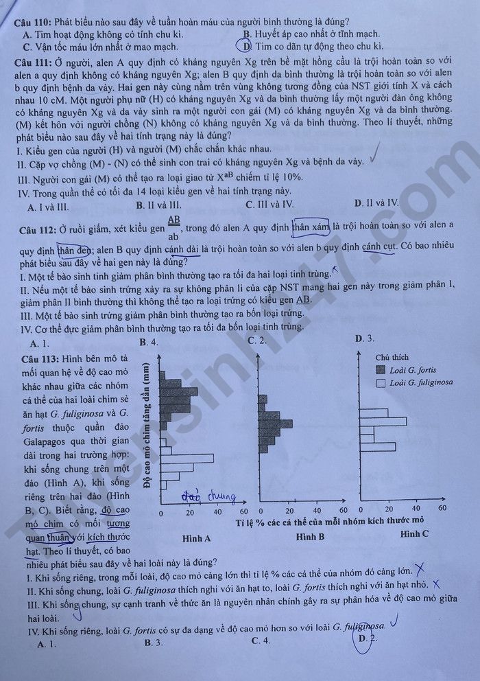 Giáo dục - Đáp án đề thi môn Sinh học kỳ thi tốt nghiệp THPT năm 2023 mã đề 203 (Hình 3).