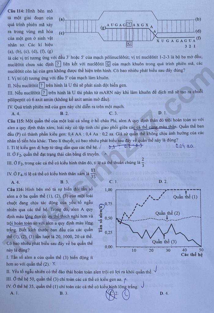 Giáo dục - Đáp án đề thi môn Sinh học kỳ thi tốt nghiệp THPT năm 2023 mã đề 203 (Hình 4).