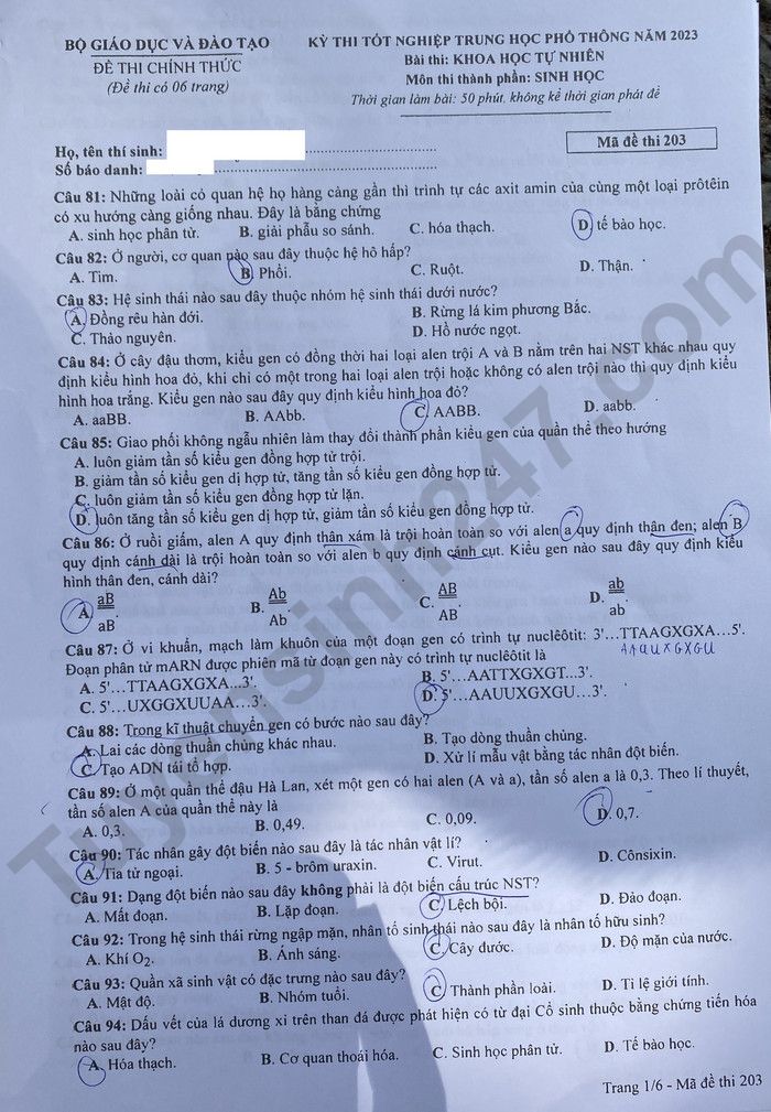 Giáo dục - Đáp án đề thi môn Sinh học kỳ thi tốt nghiệp THPT năm 2023 mã đề 203