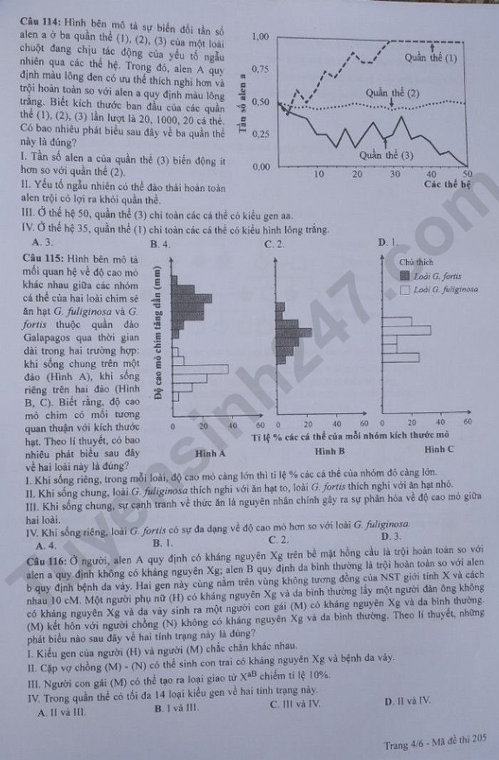 Giáo dục - Đáp án đề thi môn Sinh học kỳ thi tốt nghiệp THPT năm 2023 mã đề 205 (Hình 4).