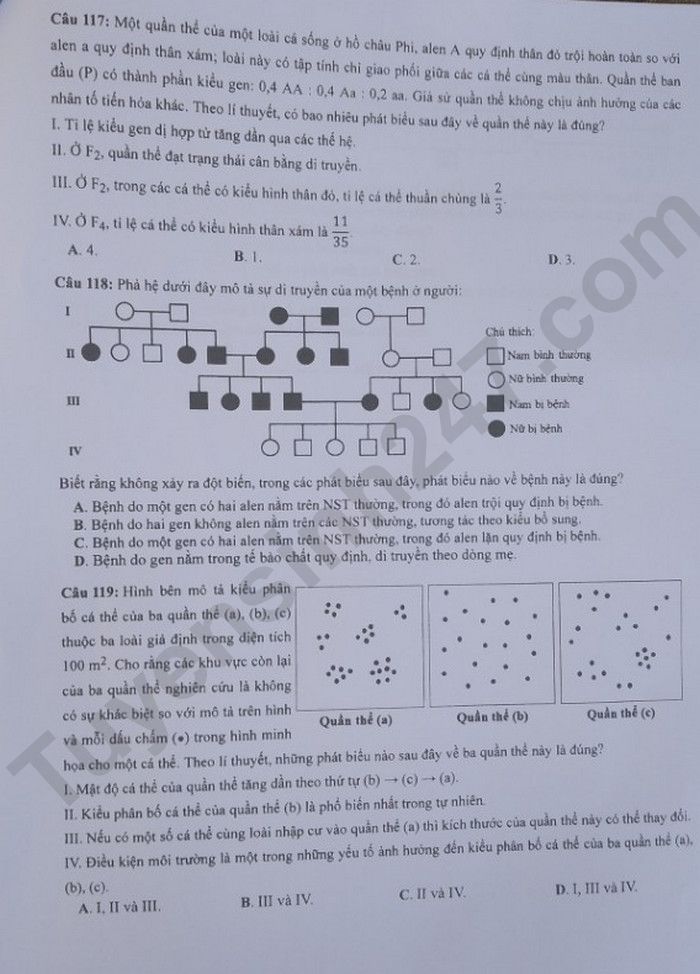 Giáo dục - Đáp án đề thi môn Sinh học kỳ thi tốt nghiệp THPT năm 2023 mã đề 205 (Hình 5).