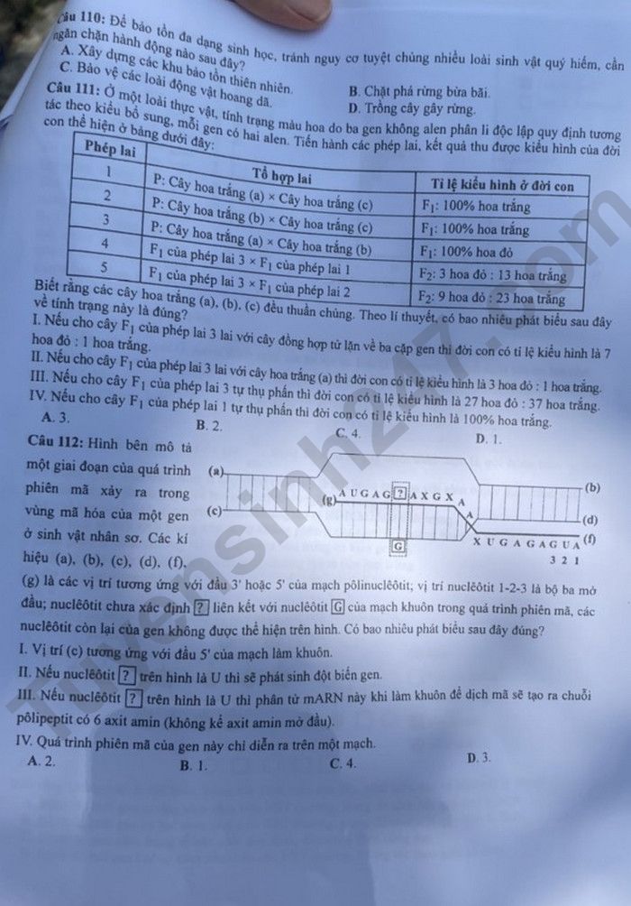 Giáo dục - Đáp án đề thi môn Sinh học kỳ thi tốt nghiệp THPT năm 2023 mã đề 206 (Hình 3).