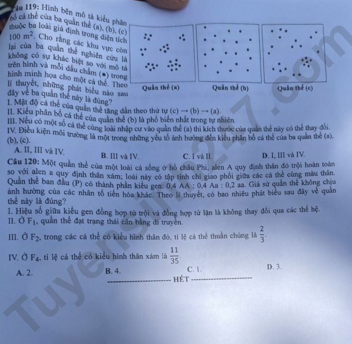 Giáo dục - Đáp án đề thi môn Sinh học kỳ thi tốt nghiệp THPT năm 2023 mã đề 206 (Hình 6).