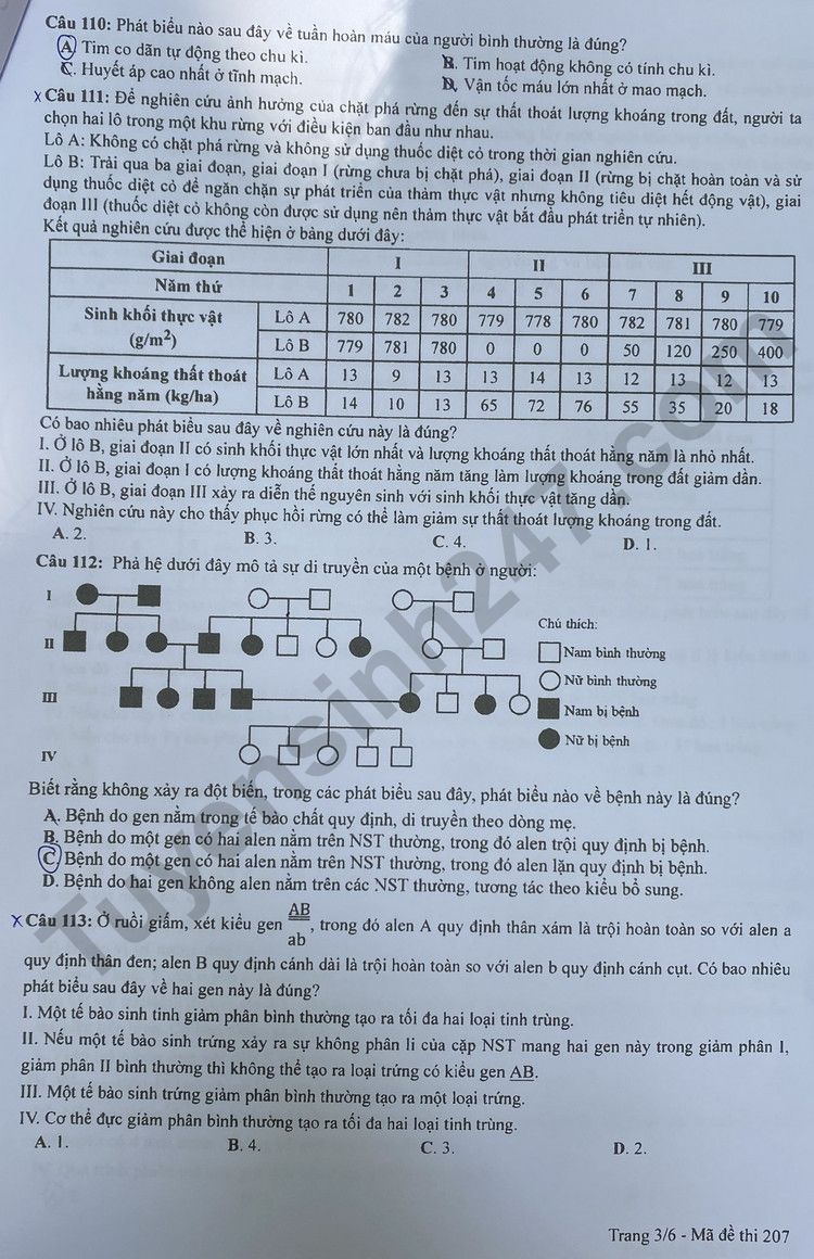 Giáo dục - Đáp án đề thi môn Sinh học kỳ thi tốt nghiệp THPT năm 2023 mã đề 207 (Hình 3).
