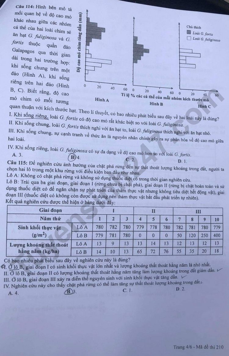 Giáo dục - Đáp án đề thi môn Sinh học kỳ thi tốt nghiệp THPT năm 2023 mã đề 210 (Hình 4).