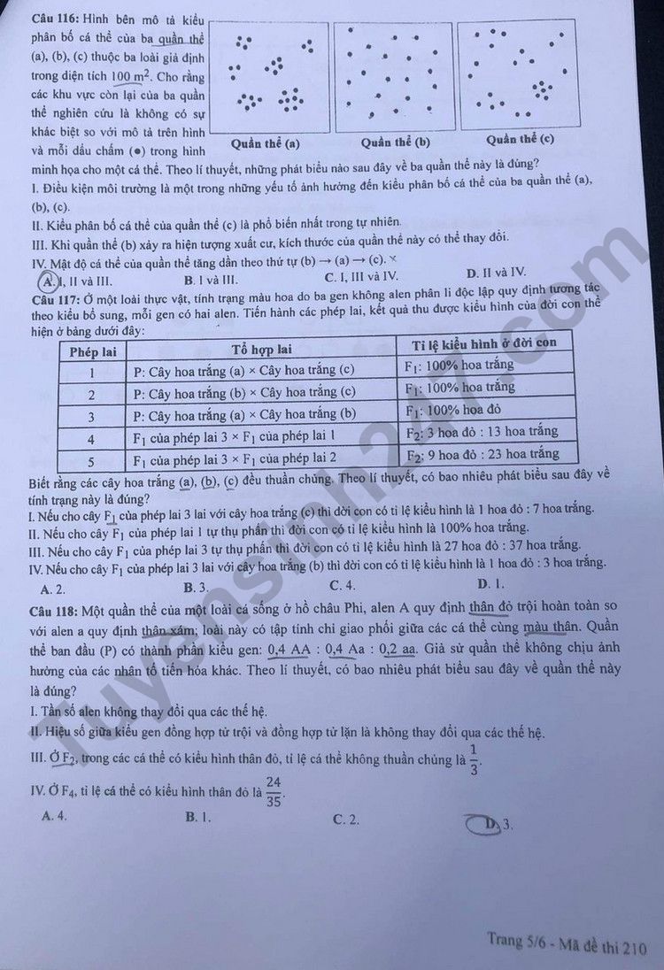 Giáo dục - Đáp án đề thi môn Sinh học kỳ thi tốt nghiệp THPT năm 2023 mã đề 210 (Hình 5).