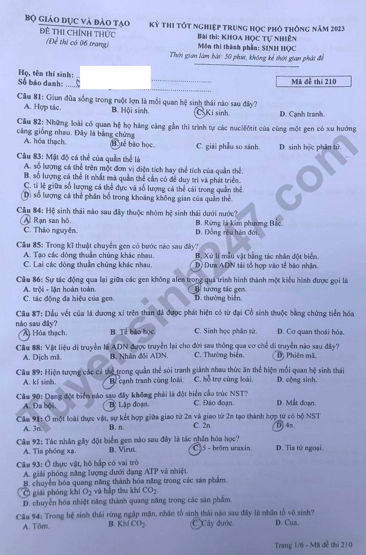 Giáo dục - Đáp án đề thi môn Sinh học kỳ thi tốt nghiệp THPT năm 2023 mã đề 210