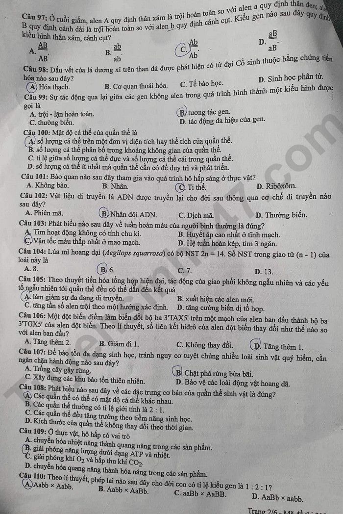 Giáo dục - Đáp án đề thi môn Sinh học kỳ thi tốt nghiệp THPT năm 2023 mã đề 212 (Hình 2).