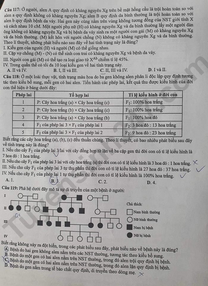 Giáo dục - Đáp án đề thi môn Sinh học kỳ thi tốt nghiệp THPT năm 2023 mã đề 212 (Hình 5).