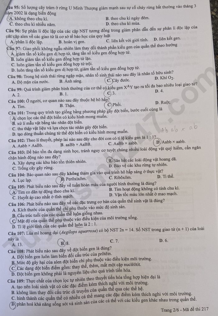 Giáo dục - Đáp án đề thi môn Sinh học kỳ thi tốt nghiệp THPT năm 2023 mã đề 217 (Hình 2).