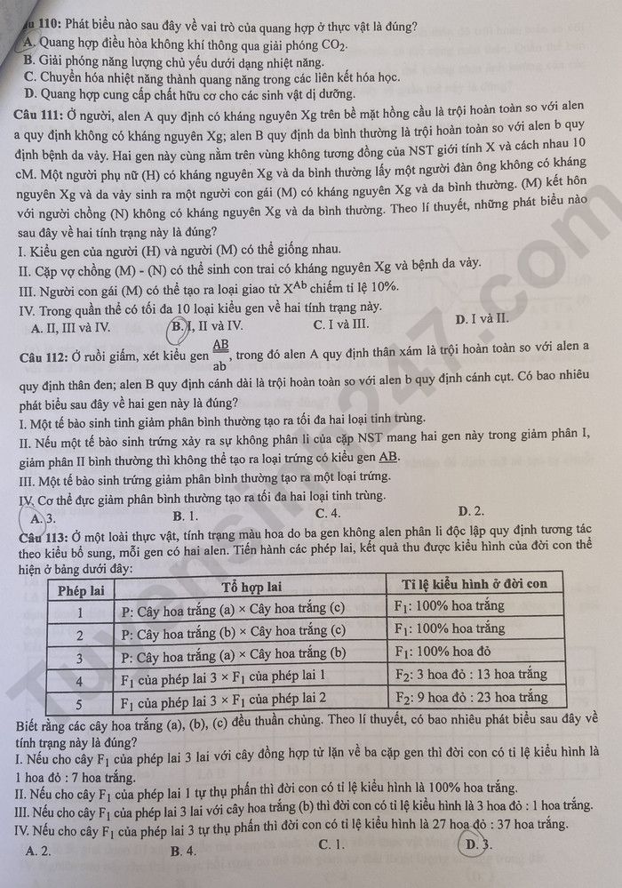 Giáo dục - Đáp án đề thi môn Sinh học kỳ thi tốt nghiệp THPT năm 2023 mã đề 217 (Hình 3).