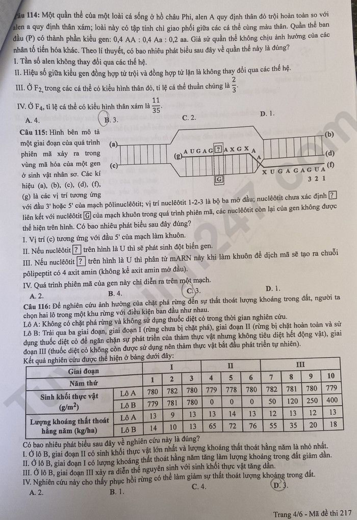 Giáo dục - Đáp án đề thi môn Sinh học kỳ thi tốt nghiệp THPT năm 2023 mã đề 217 (Hình 4).