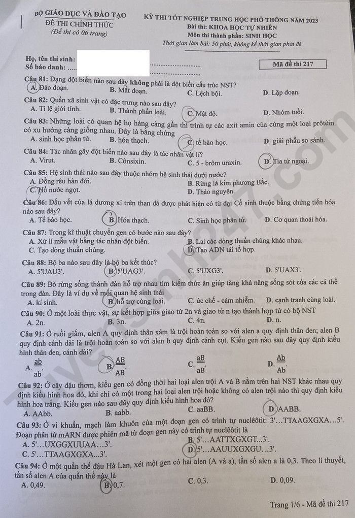 Giáo dục - Đáp án đề thi môn Sinh học kỳ thi tốt nghiệp THPT năm 2023 mã đề 217