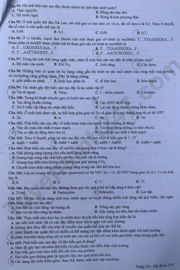 Giáo dục - Đáp án đề thi môn Sinh học kỳ thi tốt nghiệp THPT năm 2023 mã đề 219 (Hình 2).