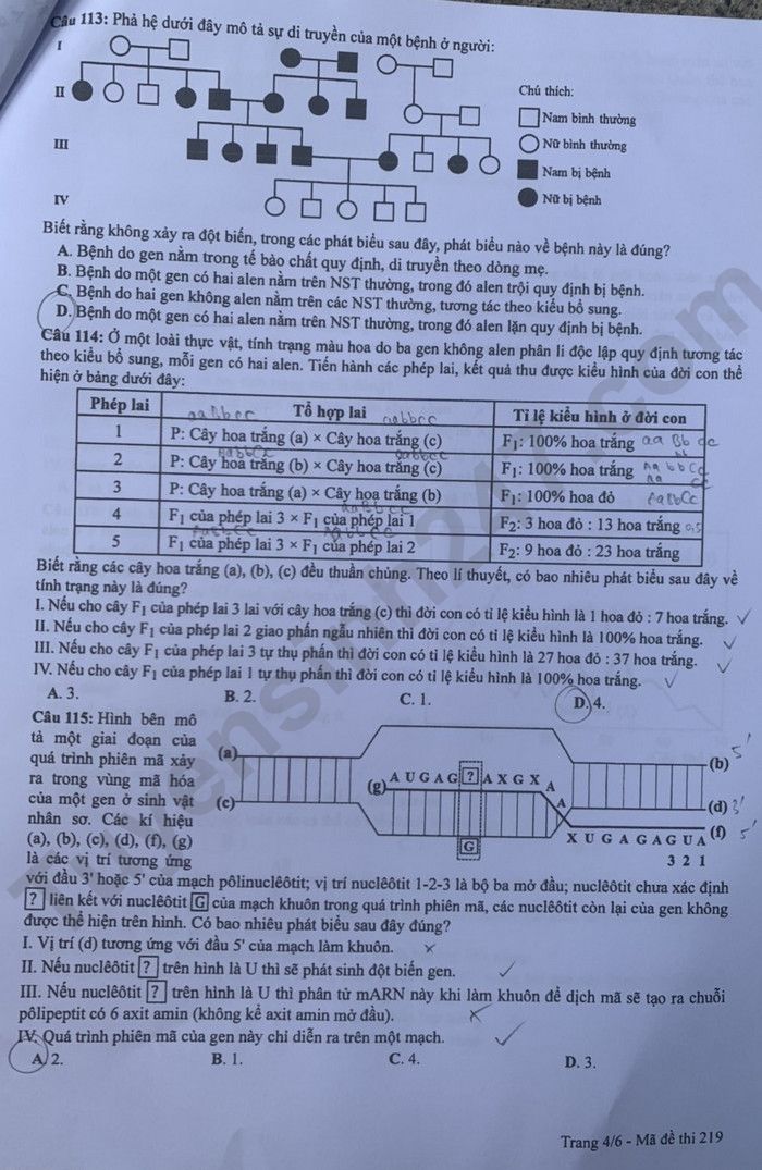 Giáo dục - Đáp án đề thi môn Sinh học kỳ thi tốt nghiệp THPT năm 2023 mã đề 219 (Hình 4).